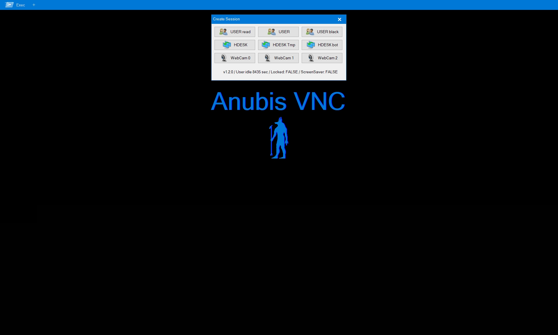 The Anubis VNC interface.
